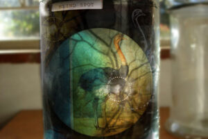 DEAD MEDIA DEAD MEDIA