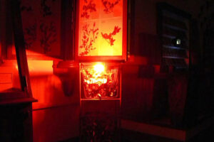 DEAD MEDIA DEAD MEDIA