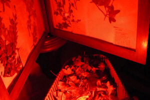 DEAD MEDIA DEAD MEDIA