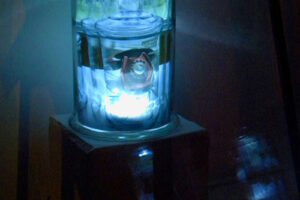 DEAD MEDIA DEAD MEDIA