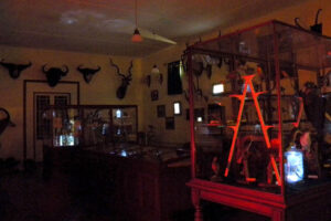 DEAD MEDIA DEAD MEDIA