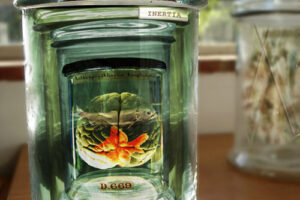 DEAD MEDIA DEAD MEDIA