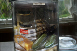 DEAD MEDIA DEAD MEDIA