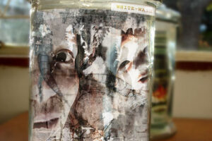 DEAD MEDIA DEAD MEDIA