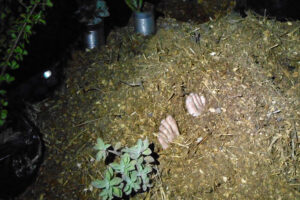 MACHINE FOR LIVING MACHINE FOR LIVING