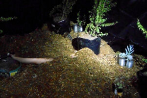 MACHINE FOR LIVING MACHINE FOR LIVING