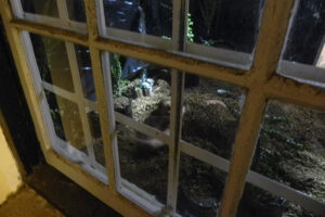 MACHINE FOR LIVING MACHINE FOR LIVING