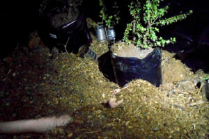 MACHINE FOR LIVING MACHINE FOR LIVING